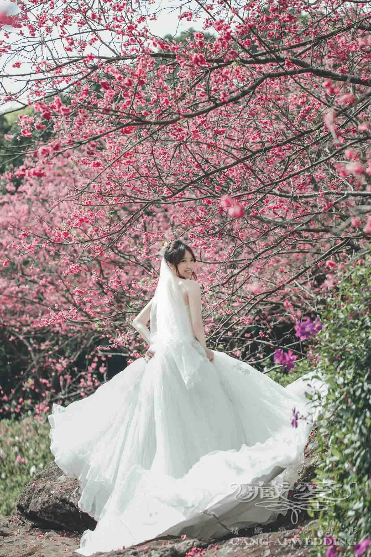 pre-wedding photography, overseas, Taipei